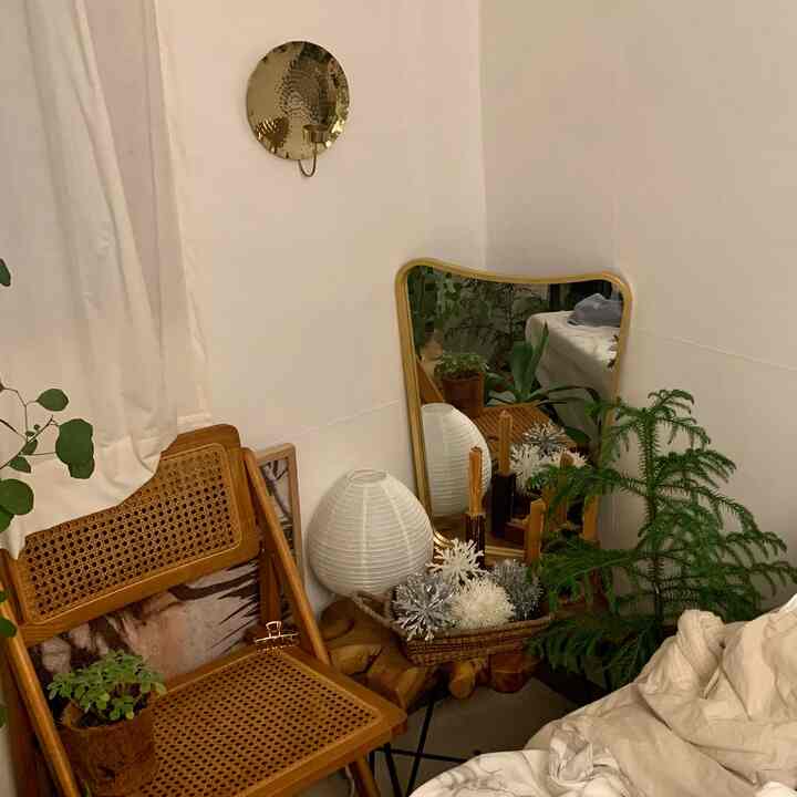 Natural white-walled studio apartment featuring wooden rattan chair and various plants creating cozy atmosphere