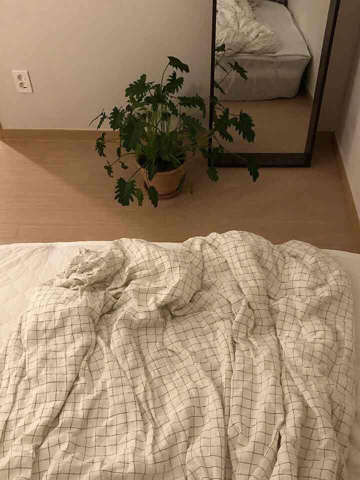Natural color and wood tone studio bedroom featuring checkered duvet cover, potted plant, and full-length mirror in a cozy setting