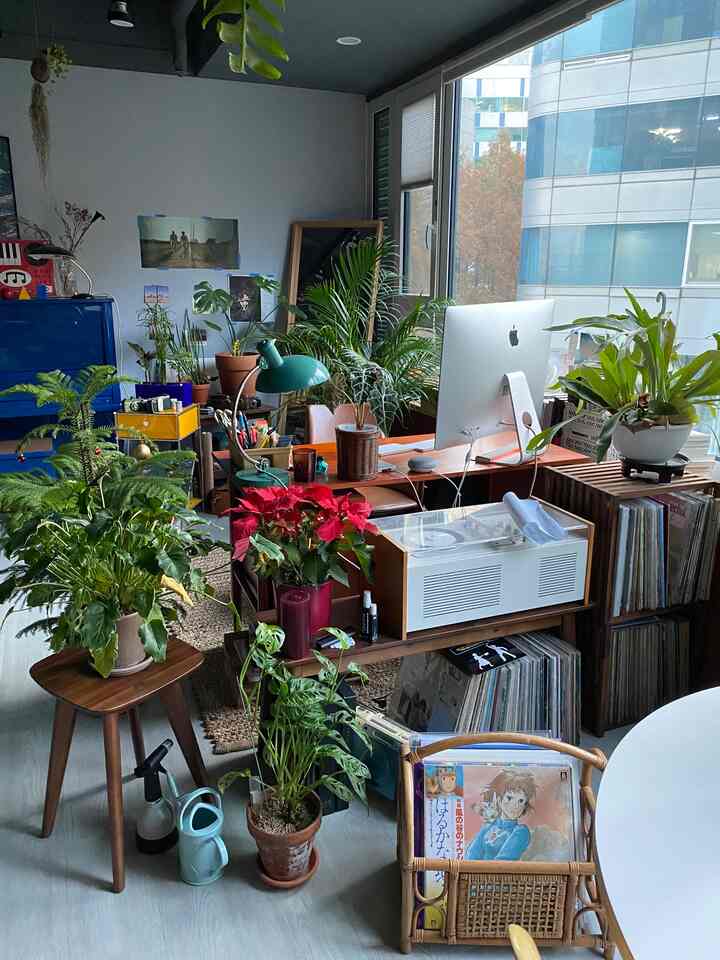 スカイブルーの床とナチュラルウッド家具、多様な植物が配置されたリビング兼ホームオフィスの雰囲気あるインテリア