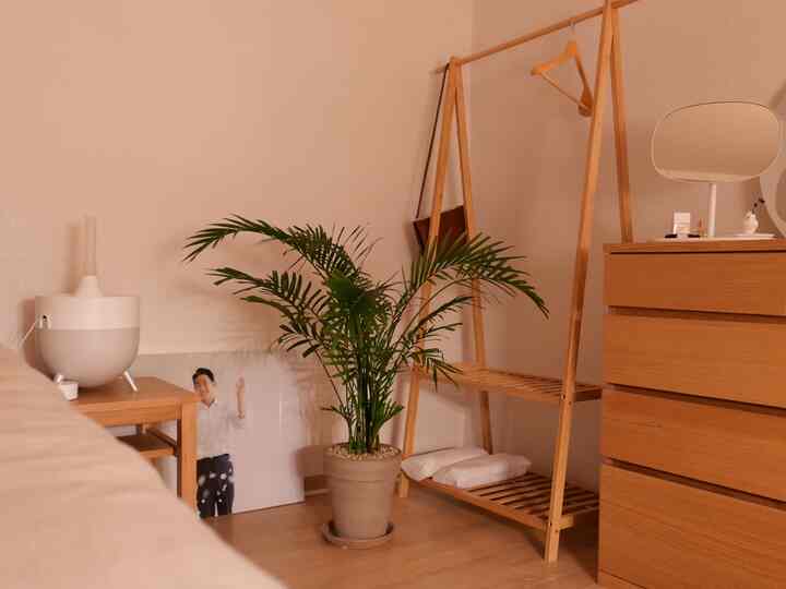 Warm wood tones and natural colors fill this bedroom space, featuring a side table and a large plant creating a cozy atmosphere