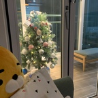 크리스마스는 베란다에서!! 올해 집을 고친건 진짜 잘했는데! 내가 이 코로나 상황을 뚫고 나갈수 있을까? 화이팅2020!