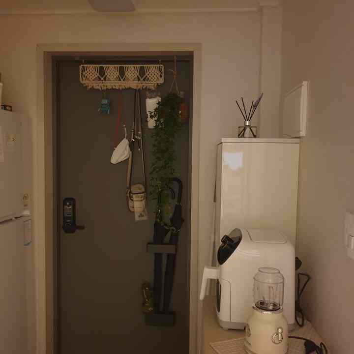Beige-tone entrance featuring a gray door with macrame hanging, ivy plant, magnetic umbrella stand, and diffuser creating a cozy atmosphere