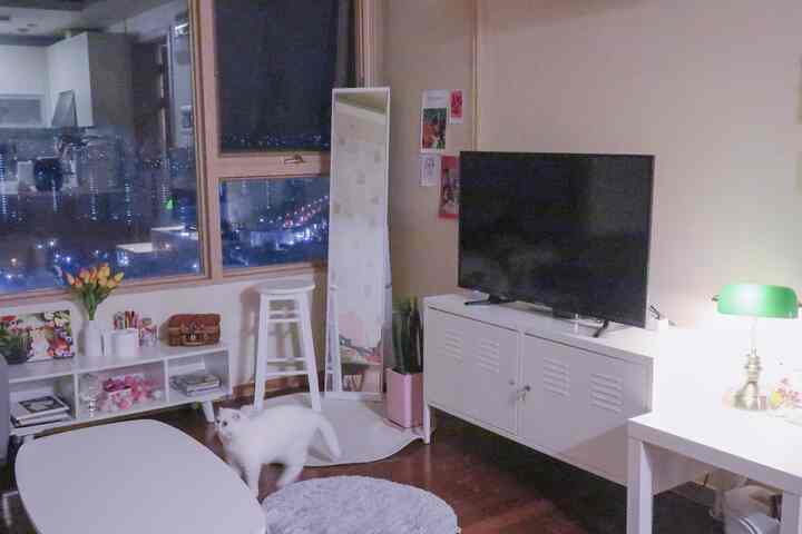 ホワイトと木目調が調和したリビング、テレビ台、ラグ、全身鏡と猫が配置されたシンプルでモダンな雰囲気のインテリア