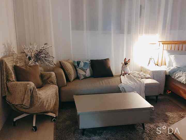 Cozy living-bedroom space in warm beige and natural tones featuring modern sofa, lift-up table, and a dog sitting on the ottoman