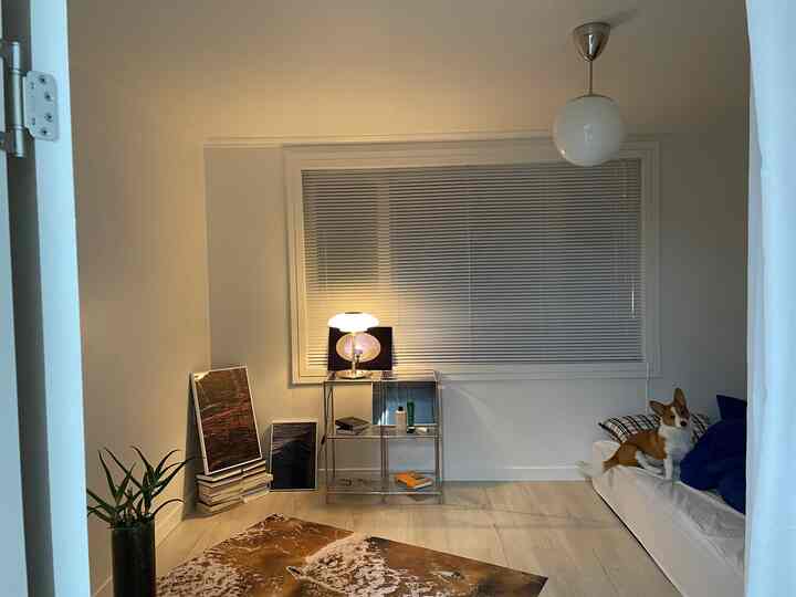 Modern white-toned bedroom featuring large blinds, a neat bed, and a dog resting comfortably