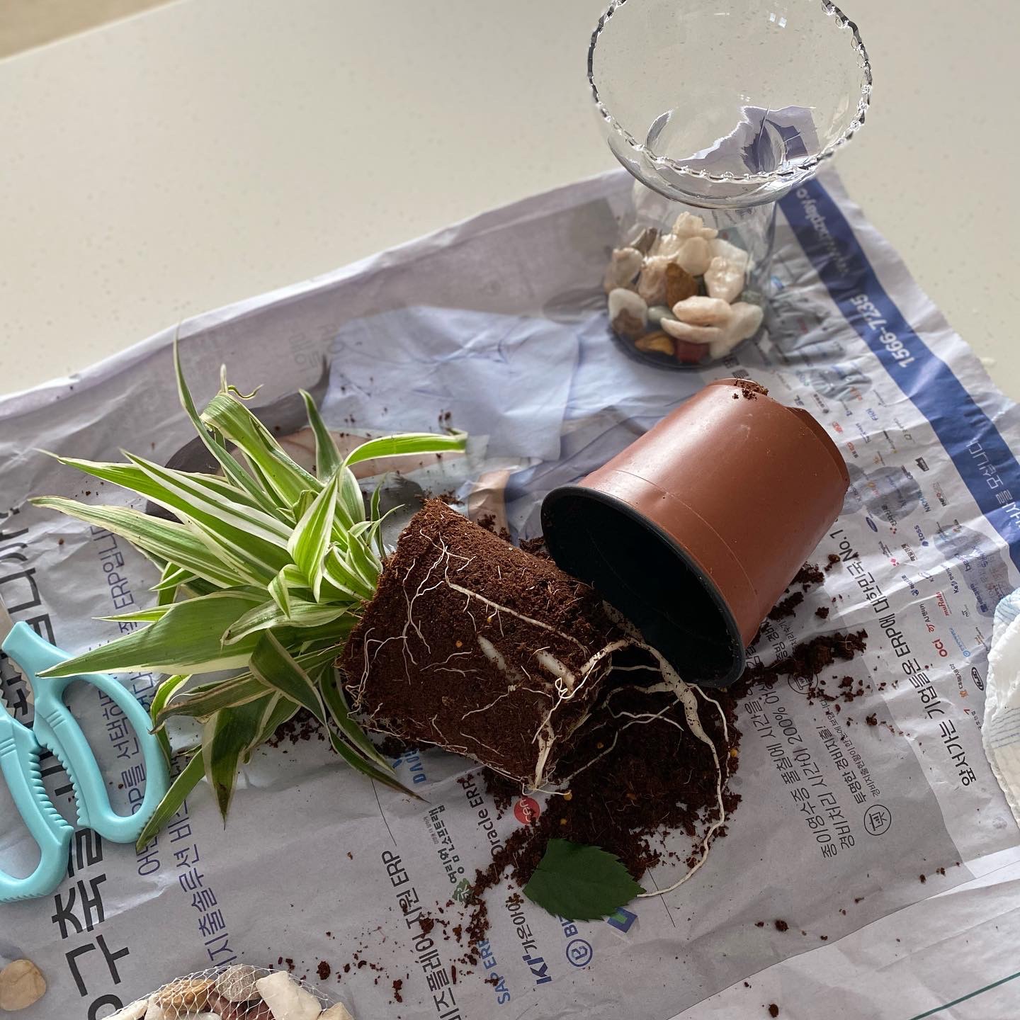 Floral 3-Compartment Food Storage Bowl Set with Lids (4-Piece) user photo