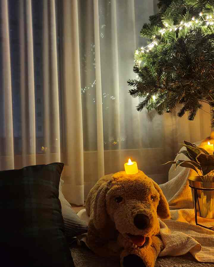 Cozy space with curtains and a Christmas tree under warm lighting, featuring a large dog plush and candles