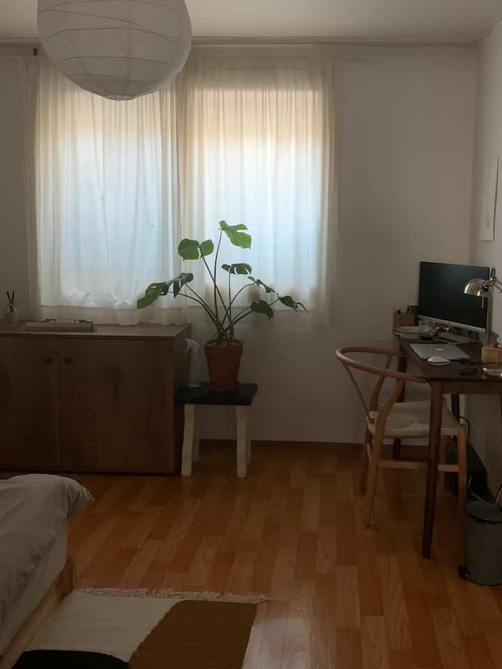 白い壁とカーテン、ナチュラルな木調のワンルーム、ホームオフィスと植物が配置された雰囲気のある空間