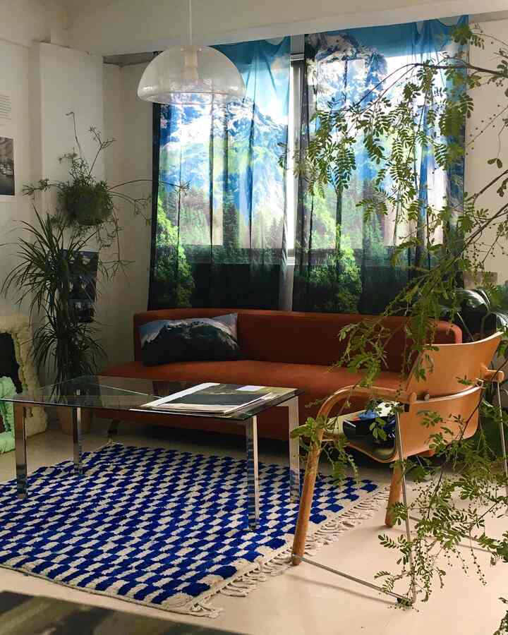 Blue and natural-toned living room featuring brown sofa and blue patterned rug with a natural atmosphere