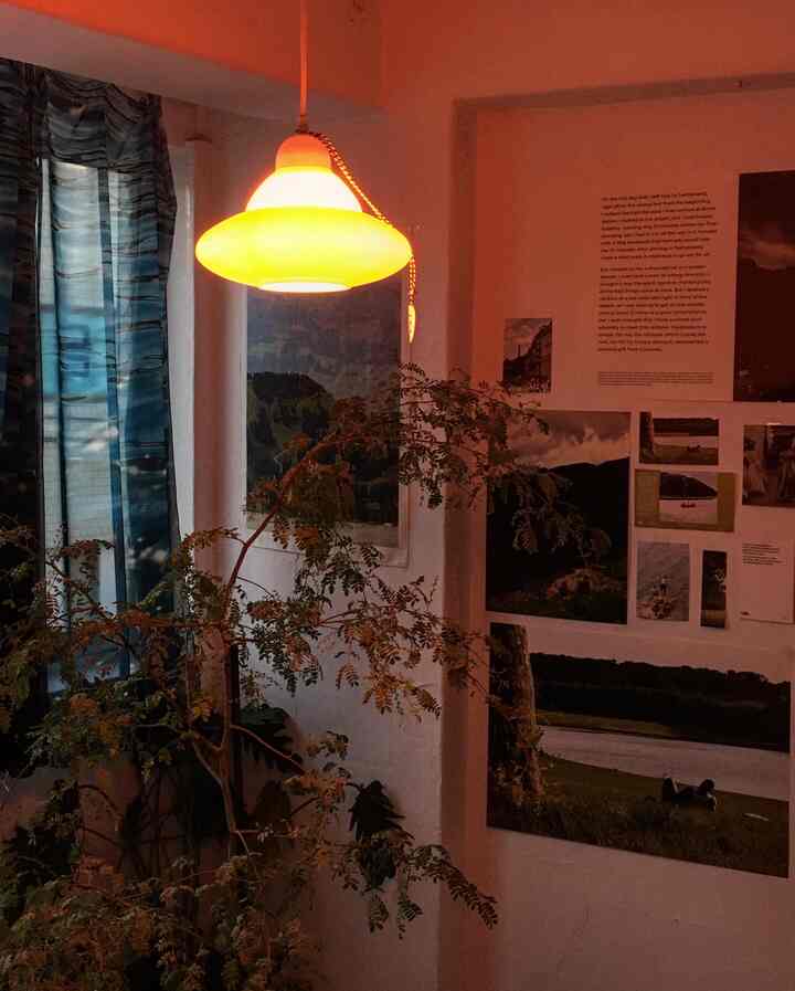 Cozy space featuring posters on the wall and plants under warm orange pendant lighting