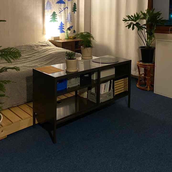 Cozy bedroom with warm lighting and dark blue carpet, featuring natural shelves and air-purifying plants in a natural modern interior