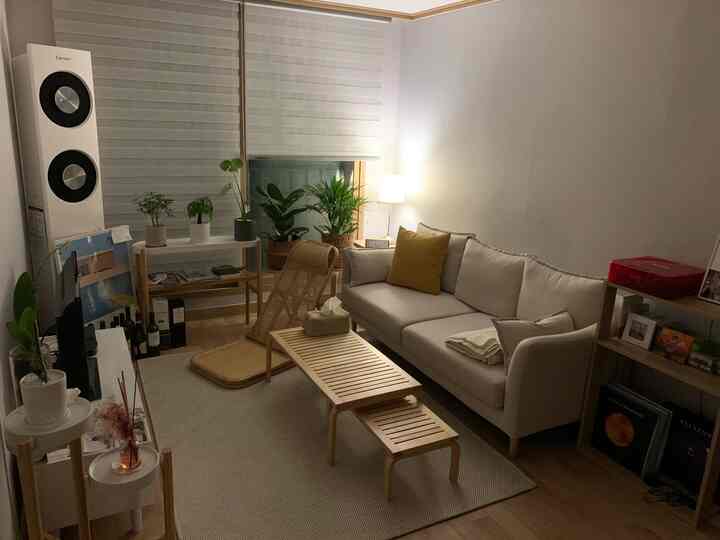 ナチュラルな木目調と白色のリビング、植物とソファ、ラグが配置された落ち着いた雰囲気の空間