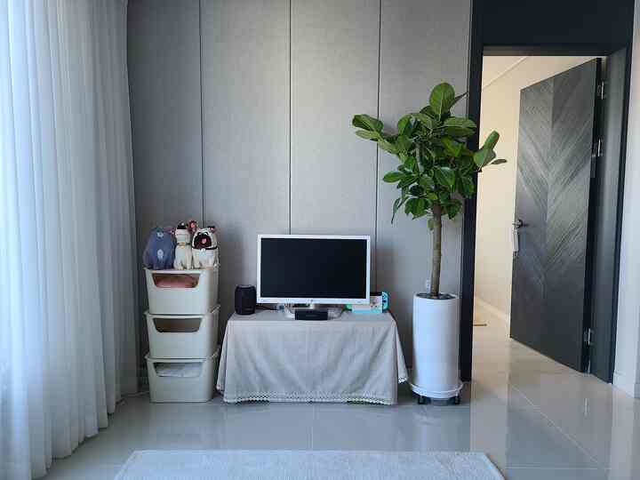 A simple living room with light gray walls and white curtains, featuring a Bengal rubber tree and monitor stand in a calm atmosphere