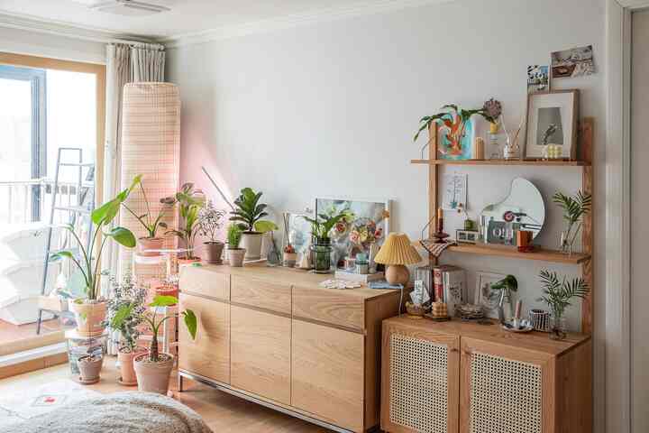 Natural-toned living room featuring oak wooden furniture and various potted plants, creating a cozy plant interior atmosphere