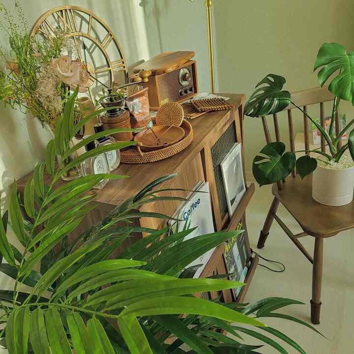Cozy home cafe space featuring brown wood furniture and green plants
