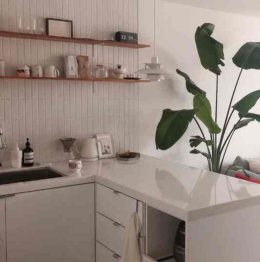 White and natural tone kitchen featuring wooden shelf and foliage plant with a clean, minimal atmosphere