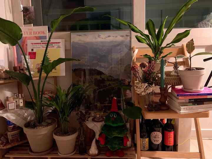 Cozy studio living room with natural wood tones and green plants featured, decorated with posters and vases