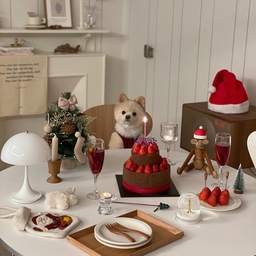 크리스마스 홈파티🎄🎅🏼🐶
뽀또도 크리스마스룩 입고 함께 파티 했어요❤️
집콕 크리스마스지만, 눈 펑펑 왔으면!
🎅🏼인스타 : fl.hyun
