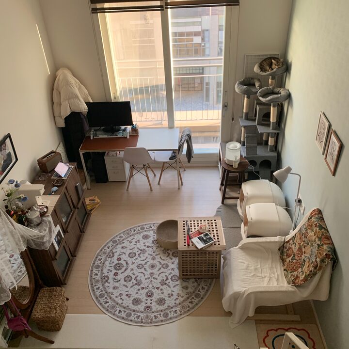 short form carousel card thumbnail