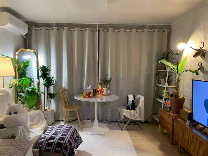 Beige curtains and wooden furniture with various plants decorate a cozy living room