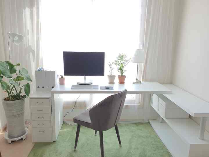White and natural toned study and home office featuring desk, chair, and several plants in a neat space