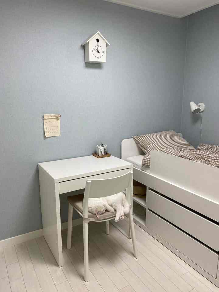 淡い青の壁と白い家具が配置された子供部屋。ベッドとデスクの上に猫がくつろぐ、シンプルで落ち着いたインテリア