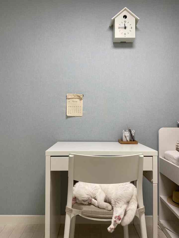 Soft blue walls and white furniture in a small minimal study featuring a dining chair where a white cat sleeps peacefully