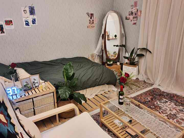 Natural wood tone single household bedroom with various plants in a small cozy room