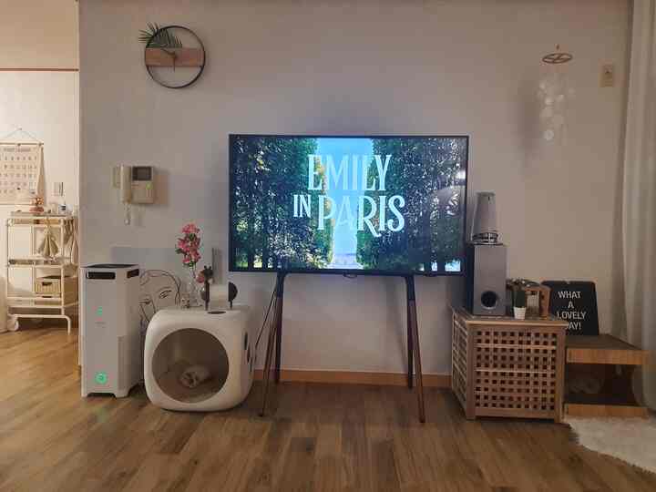 Living room with white walls and brown wood flooring, featuring a central TV stand and pet cat in a clean, modern setting