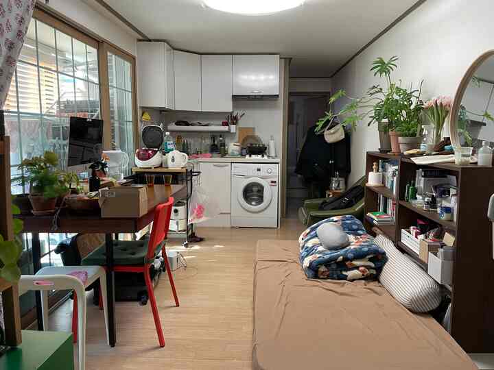 White and brown toned kitchen-living space featuring dining chairs, sofa bed, and plants with cozy, practical atmosphere