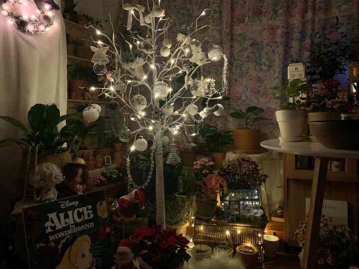 Cozy home cafe space featuring string lights, diverse plants, and Christmas decorations with warm lighting