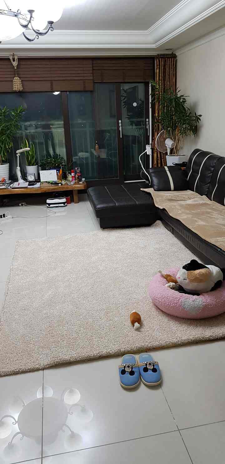 Natural toned living room featuring dark brown leather sectional sofa and beige shaggy rug with cozy atmosphere