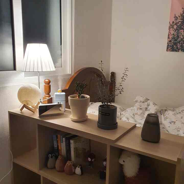 木目調とナチュラルな色調の一人暮らし用寝室、ミニマル家具と植物が配置された温かみのあるインテリア