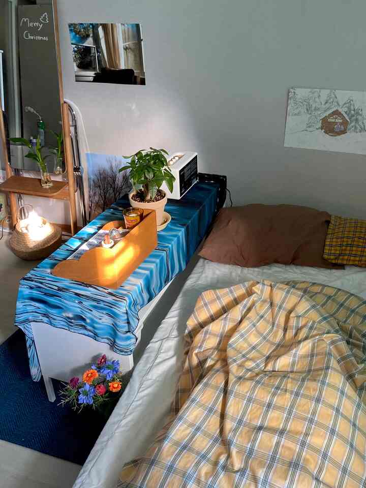 ナチュラルな色調のワンルーム寝室、イエローチェックの寝具と植物が配置された雰囲気のある空間