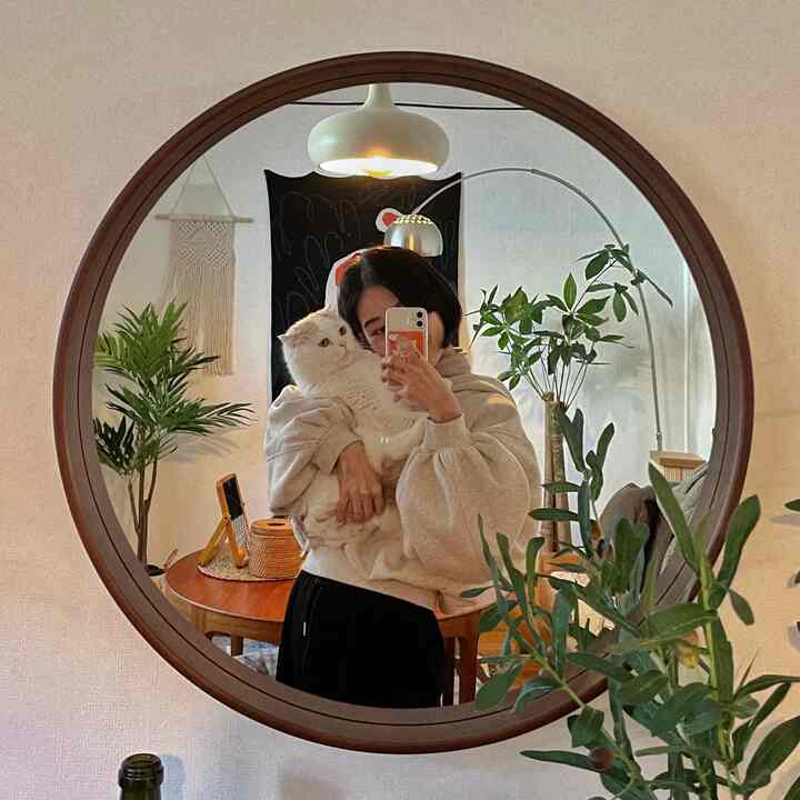 Natural-toned dining room featuring a round wall mirror, abundant plants, and a cozy space with a cat