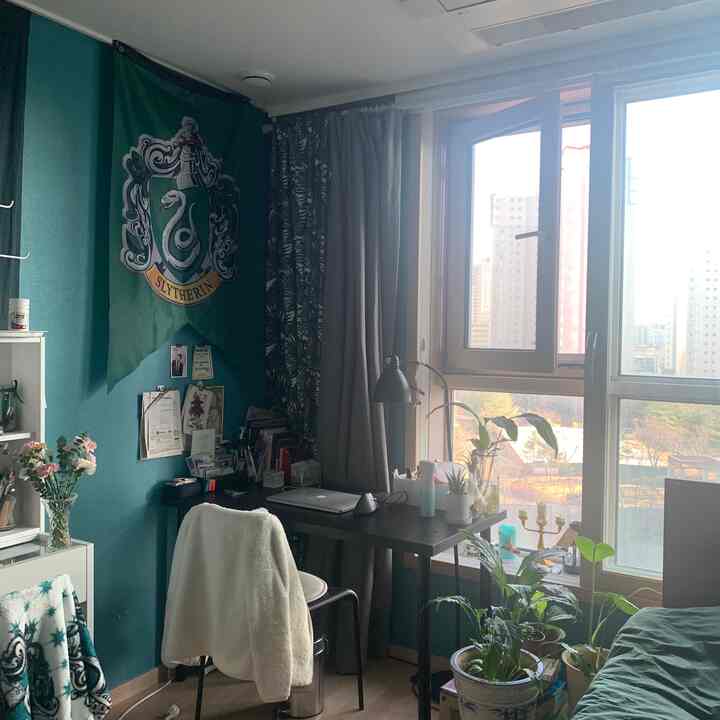 Green-toned study space with window view, featuring a black desk and plants for a cozy work environment