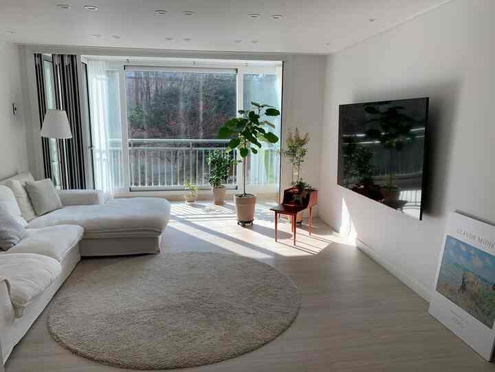 Minimal white-toned living room featuring large fabric sofa, Samsung TV, multiple plants with bright natural light