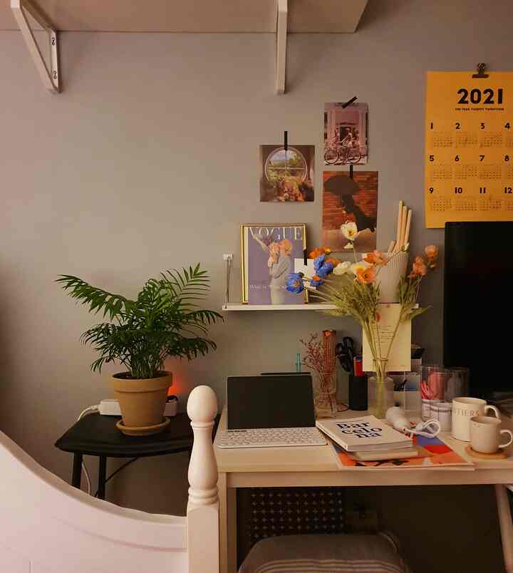 Natural gray wall with potted plant and desk arranged in a compact home office space