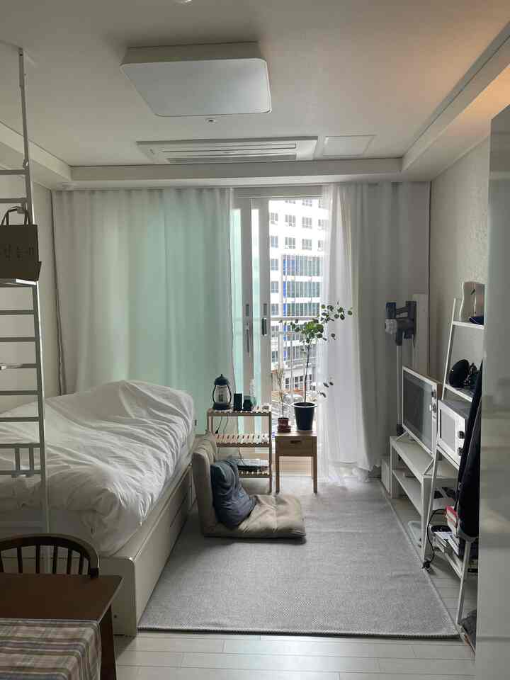 White and wood tone studio living room featuring a bed, floor chair, TV stand, sheer curtains, and a plant by the window with a cozy atmosphere