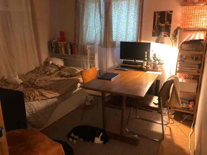 Natural-toned small room featuring a dining table, bed, cat resting on carpet, warm lighting creating cozy ambiance
