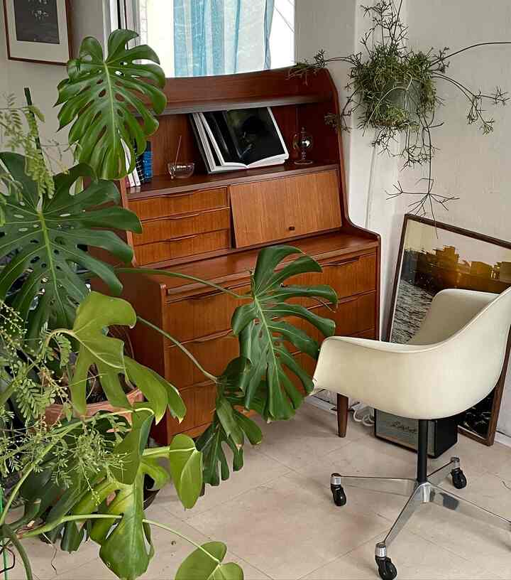 Natural study featuring wood tone desk and dresser with lush green plants