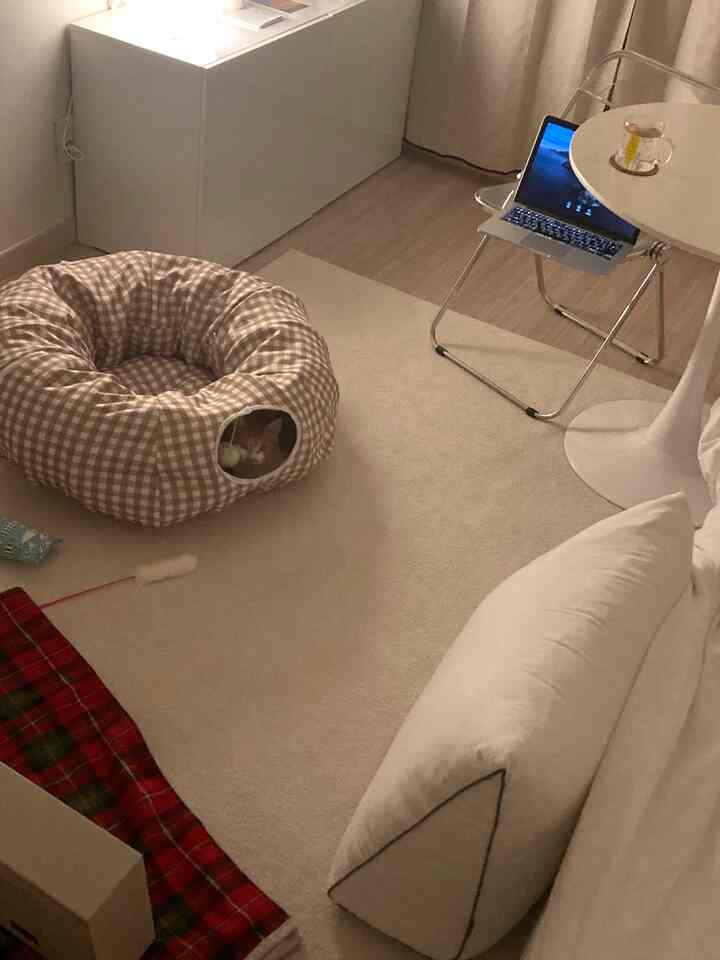 ベージュとホワイトのトーンの小さなリビングルーム、チェック柄の猫用トンネルとノートパソコンが置かれた整ったホームオフィス空間