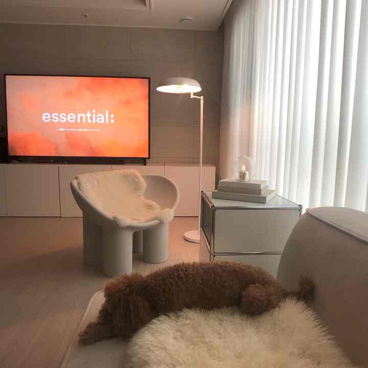 暖かいナチュラルカラーのリビング、白いソファとアームチェア、大きなカーテンとフロアランプ、くつろぐ犬が穏やかな雰囲気を演出しているインテリア