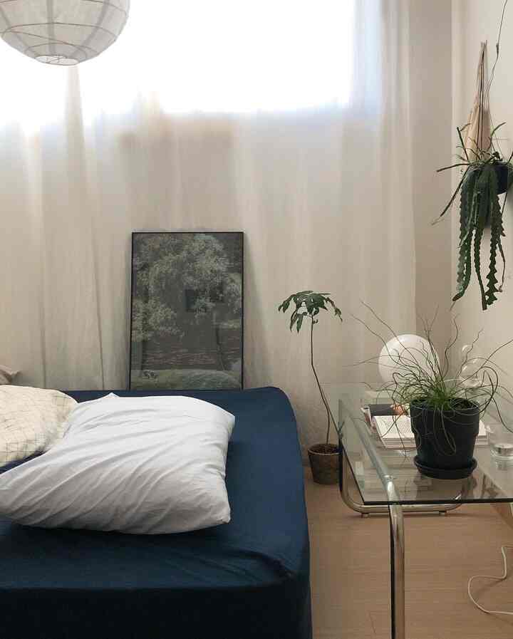 Natural style bedroom with white curtains and plants, featuring a blue bed sheet and minimalist furniture arrangement