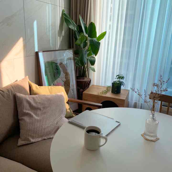 Bright living room in white and brown tones featuring sofa, round table, cushions, and plants creating a cozy atmosphere