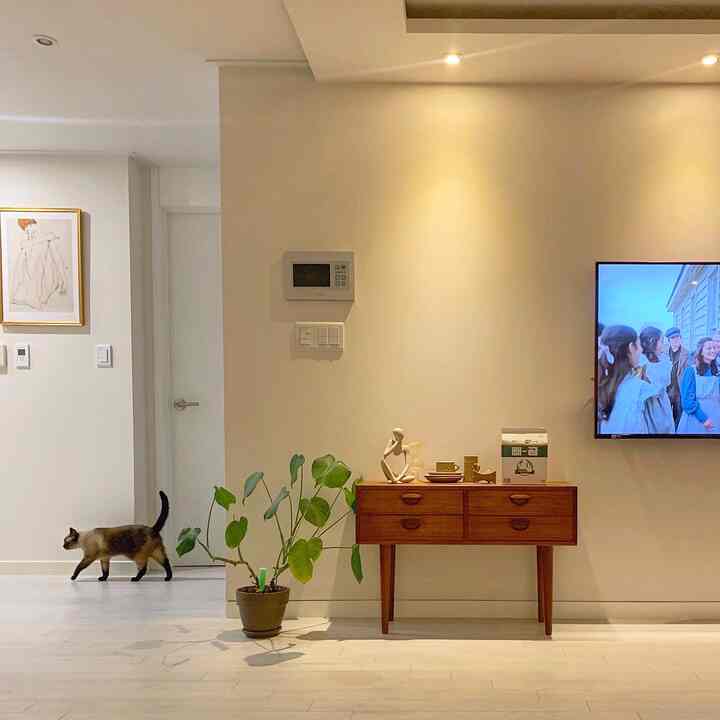 White-toned living room featuring wall-mounted TV, wooden console, and plants with a natural atmosphere