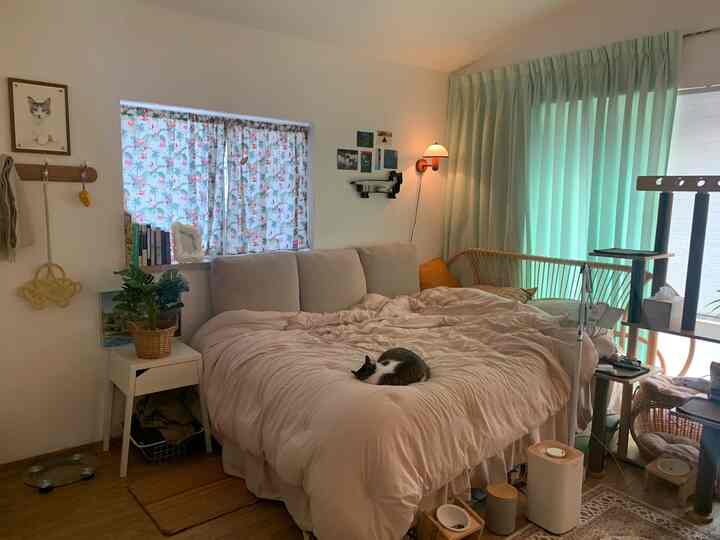 Soft beige and mint toned bedroom featuring large bed, cats, and rattan furniture creating a cozy atmosphere