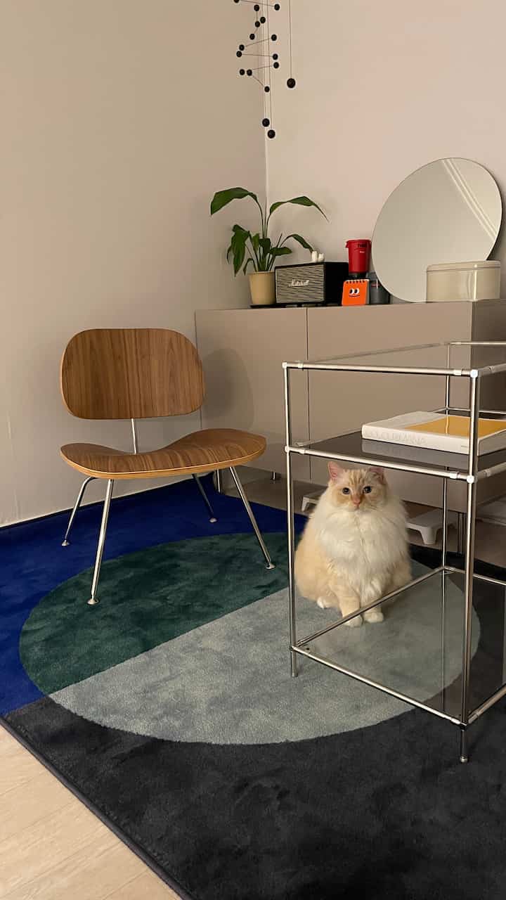 Modern-toned bedroom featuring a wooden armchair center-left, metal frame side table center-right, multicolor blue-green rug on the floor, and a cream-colored cat sitting center-bottom