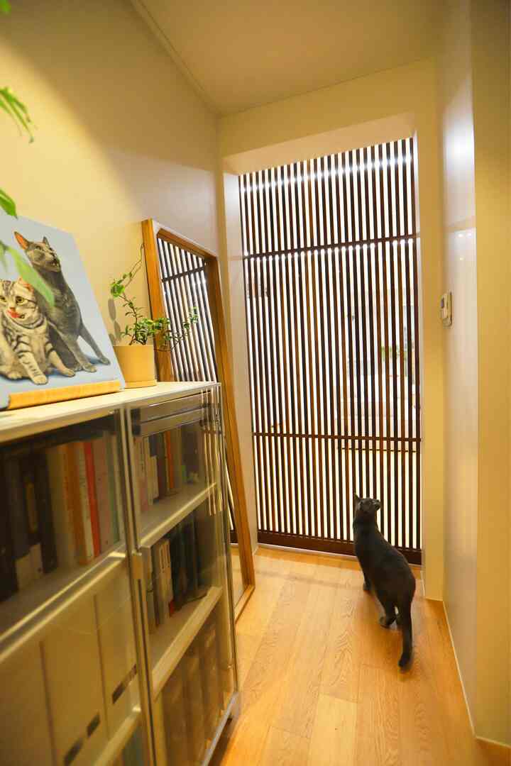 Warm beige and wood-toned narrow hallway featuring a bookshelf, a mirror, and a cat peeking outside through wooden slatted door
