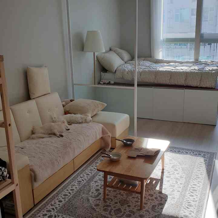 Natural wood tone and beige studio apartment for two, featuring sofa, bed, and curtains in a modern cozy space